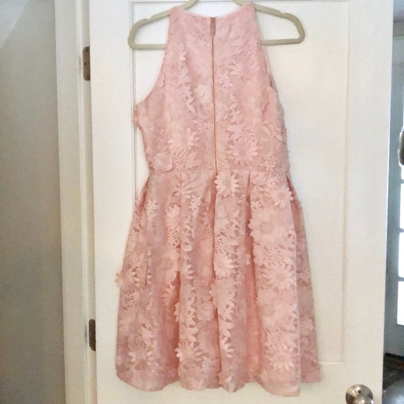 Ted Baker Soft Pink Floral Lace Skater Dress - Picture 8 of 8